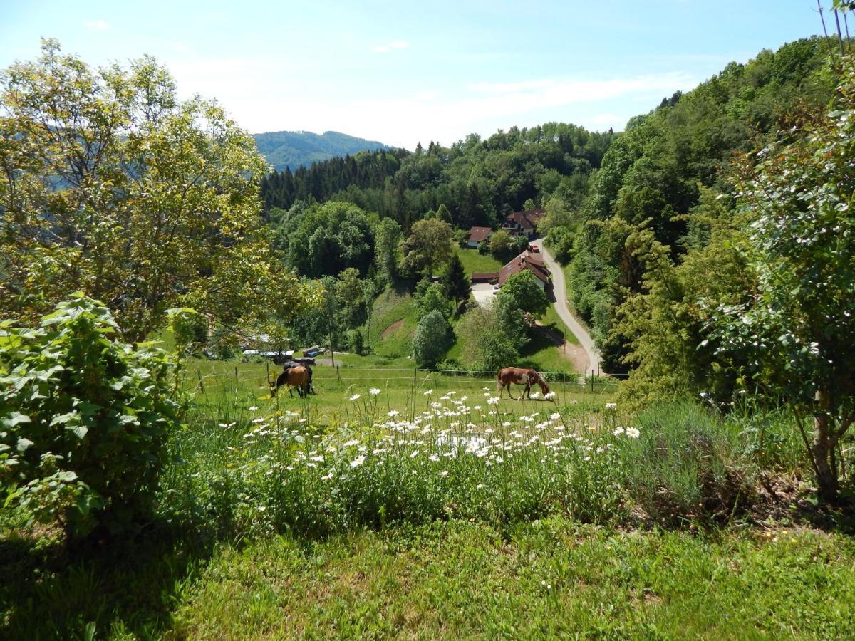 Kleines WiesentalSchwedenhaus Raich公寓 外观 照片